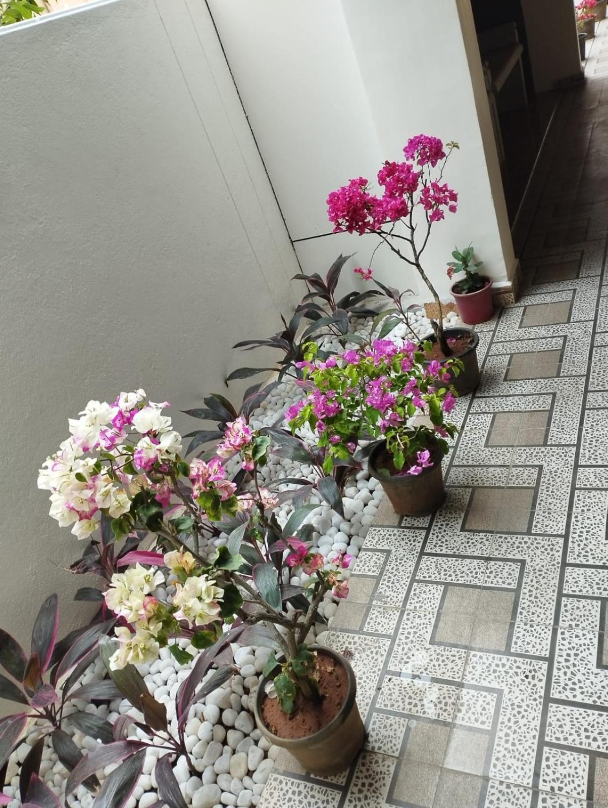 Hotel Annai Residency Vellore Esterno foto